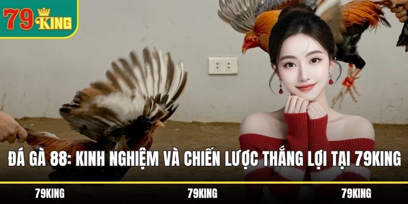 Đá gà 88