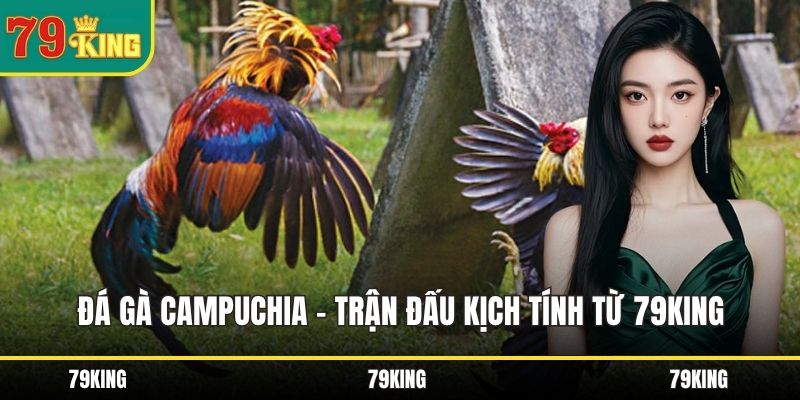 Đá gà Campuchia