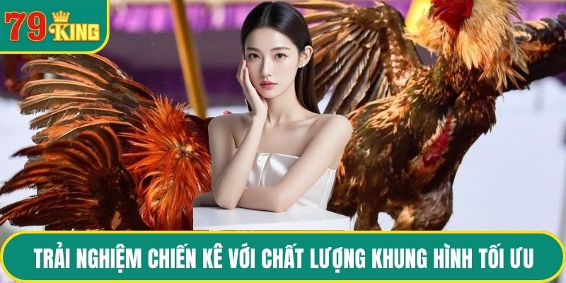 Trải nghiệm chiến kê với chất lượng khung hình tối ưu