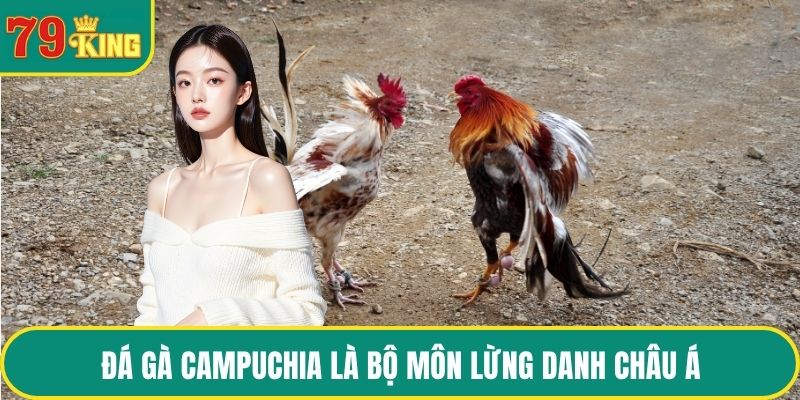 Đá gà Campuchia là bộ môn lừng danh châu Á
